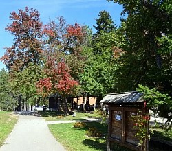 Црква Сирогојно