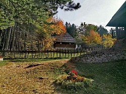 Старо село Сирогојно - музеј на отвореном
