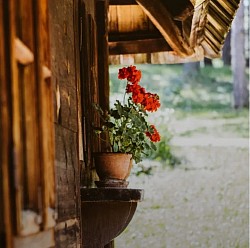 Музеј Старо село Сирогојно